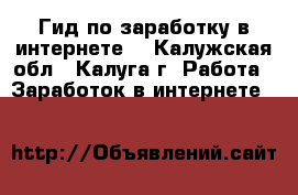 Гид по заработку в интернете. - Калужская обл., Калуга г. Работа » Заработок в интернете   